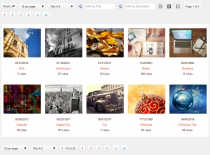 jPList - jQuery Data Grid Pagination Controls Screenshot 1