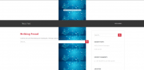 Background Changer - Wordpress Plugin Screenshot 9